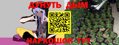 скорость Новодвинск