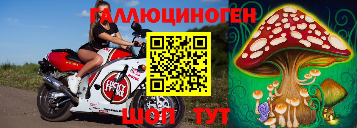 Галлюциногенные грибы Psilocybine cubensis  Вход с VPN  Псилоцибиновые грибы GOLDEN TEACHER  Шахты 